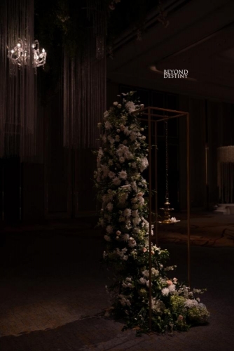 1000308848 (4000×6000) (Medium)