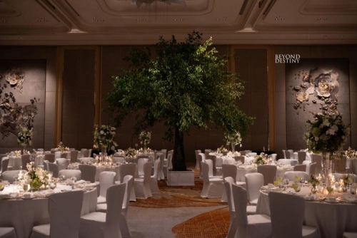 1000308852 (6000×4000) (Medium)